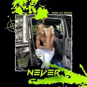 Picture for song 'Polo G x Hotboii x Lil Durk Type Beat - Never' by artist 'sange beats'