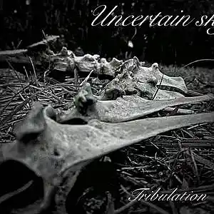 Picture for song 'the remaining few' by artist 'Uncertain Sky'