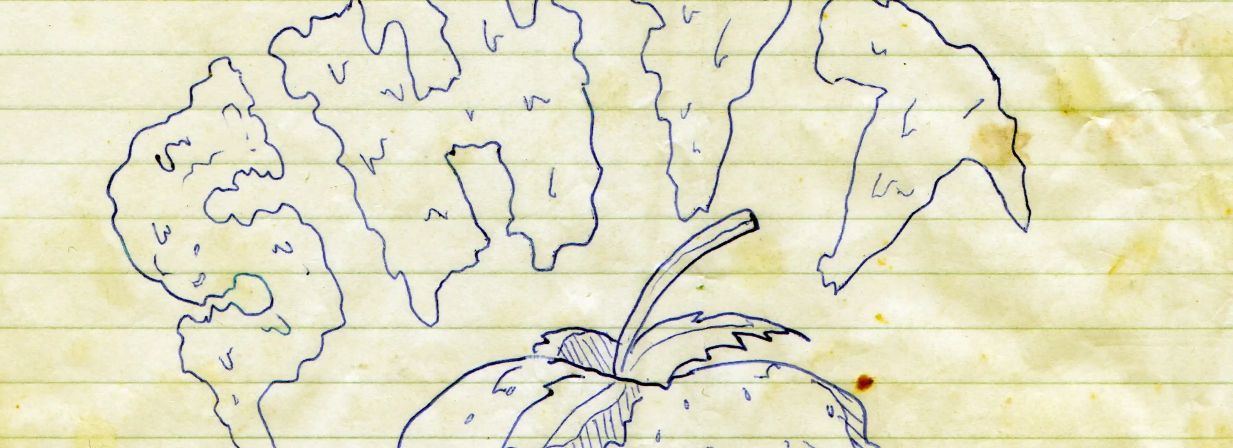 cover pic
