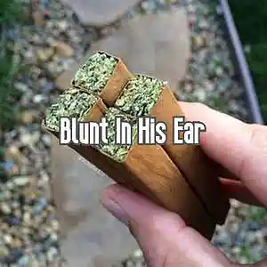 Picture for song 'Blunt in His Ear' by artist 'Anac On The Beat'