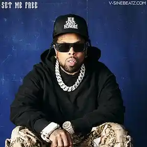 Picture for song 'Set Me Free (Buy 1 Get 1-3 FREE)' by artist 'V-Sine Beatz'