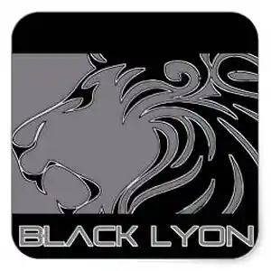 Picture for song 'reggae design 66 m6' by artist 'black lyon'