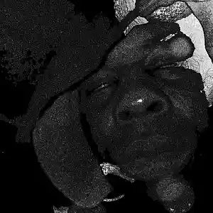 Picture for song 'Nether Level' by artist 'Helic Skye'