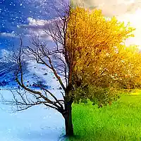 Picture for song 'Spring In The Winter (w/Mike Dean)' by artist 'MLJ Tha Beatmaker'