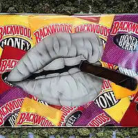 Picture for song 'Loosing my mind( New Trap Wave) Rich The Kid' by artist 'Sounds So Digital'