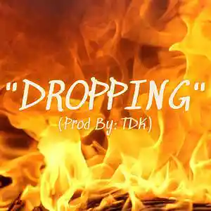 Picture for song 'DROPPING (TRAP) CLUB BANGER' by artist 'TDK'