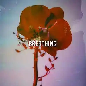 Picture for song 'Breathing (Lil Peep x Deftones Type Beat)' by artist 'Wolevsky'