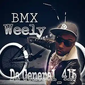 Picture for song 'WEELY' by artist 'Big Wil Da General 415'