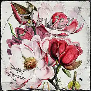 Picture for song 'Flower (140 bpm)' by artist 'DeeMor'