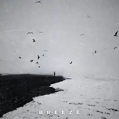 Picture for song 'Breeze' by artist 'Erawy'