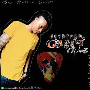 Picture for song 'Joshkesh-Can't wait' by artist 'Joshkesh'