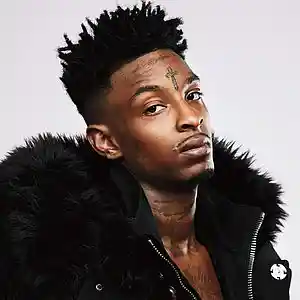 Picture for song '21 savage type beat' by artist 'mikkniko'