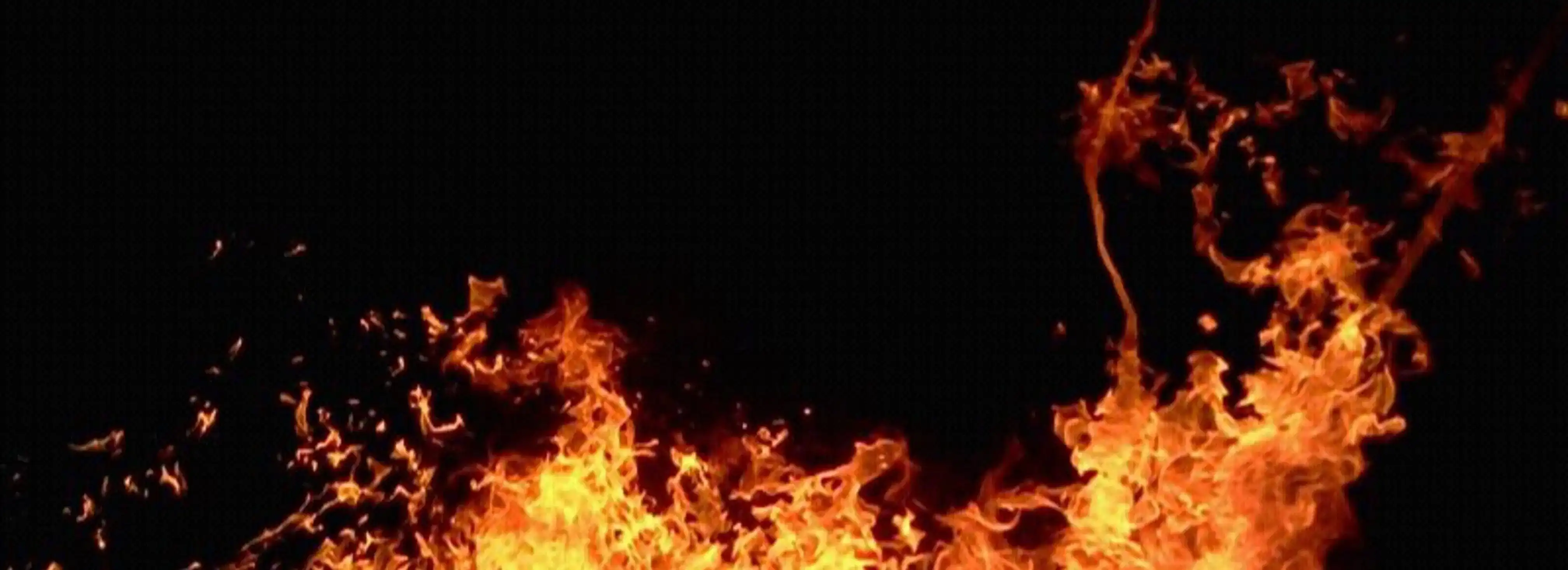 cover pic