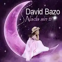 Picture for song 'Nada sin ti (Nothing without you)' by artist 'David Bazo'