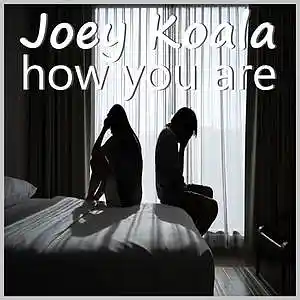 Picture for song 'How You Are' by artist 'Joey Koala'
