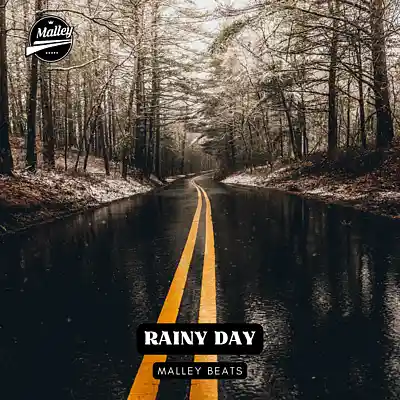 Picture for song 'RAINY DAY [COUNTRY RAP TYPE BEAT]' by artist 'Malley Beats'