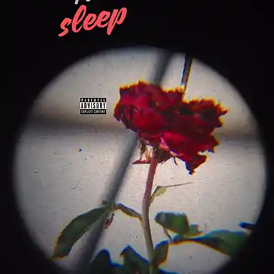 Picture for song 'No Sleep (Melodic Chill Rap Trap Type Beat) Hard' by artist 'MARIS'