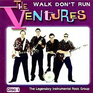 Picture for song 'Walk Don't Run' by artist 'Michael Duran'