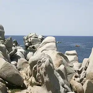 Picture for song 'RROOCCKK' by artist 'Pete Moss and the Weed Wackers'