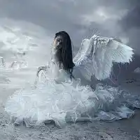 Picture for song 'Les Anges de la nuit Gli Angeli de la notte' by artist 'Peter Kosta's Galaxy Rock Band'