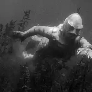 Picture for song 'The Creature From The Black Lagoon Theme' by artist 'Previous Signs of Decay'
