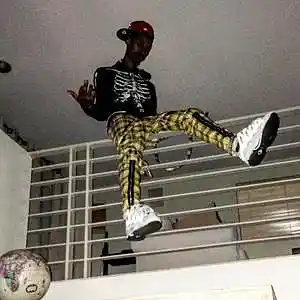Picture for song 'Sickboyrari Type Beat Narnia 140 BPM' by artist 'Rawmane'