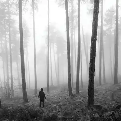 Picture for song '"Lost" Drill x Trap x Violin Beat' by artist 'SoundDriveRecords'