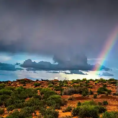 Picture for song 'Raining Arizona' by artist 'Thin White Dude'