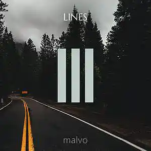Picture for song 'Lines' by artist '2Sky'