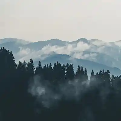 Picture for song 'Wu-Tang Type Beat - Storytelling Boom Bap' by artist 'Boomism Beats'