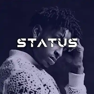 Picture for song 'Status' by artist 'Brandnew Beats'