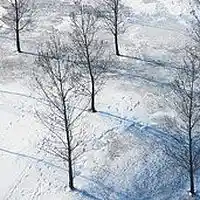 Picture for song 'A Christmas Poem' by artist 'Charlie H Russell'