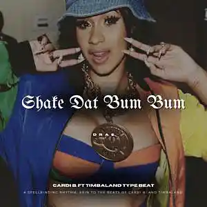Picture for song '"Shake Dat Bum Bum" - Cardi B. ft. Timbaland Type' by artist 'Dras On The Beat'