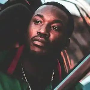 Picture for song '1st Degree *MEEK MILL*' by artist 'Majestic Drama'