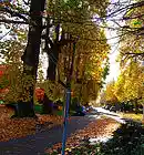 Picture for song 'Autumne Contraire*' by artist 'Michael Gargano'