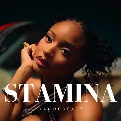 Picture for song 'STAMINA - Afrobeat' by artist 'OfficialDanoeBeatz'
