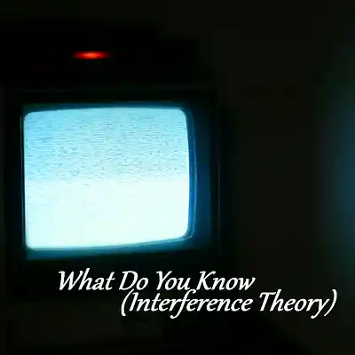 Picture for song 'What Do You Know (Interference Theory)' by artist 'Sean Ferree'