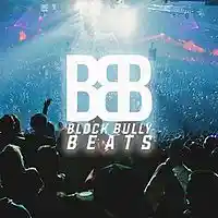 Picture for song 'Party Night' by artist 'BlockBullyBeatz316'