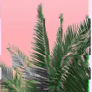 Picture for song 'want to be free' by artist 'coldbrew'