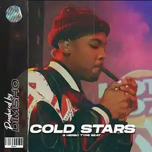 Picture for song 'Cold Stars' by artist 'Dimsho Beats'