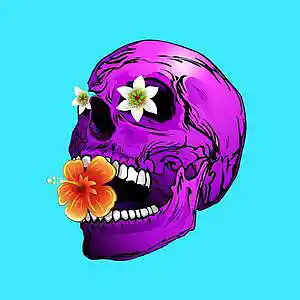 Picture for song 'FREESTYLE TYPE BEAT - ARIZONA' by artist 'Far Out Beats'