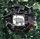 Picture for song 'Broken star under the tree of reason' by artist 'Fukachuk Egg Machine'