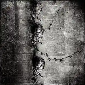 Picture for song '[FREE] SLOW - BEAT LIKE #YOUNG CHOP' by artist 'IOINO Drugz Beats'