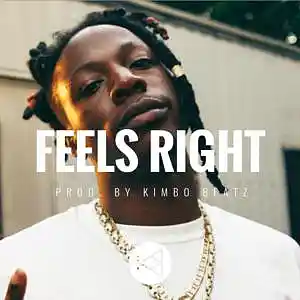 Picture for song 'Feels Right (DEMO DOWNLOAD)' by artist 'KimboBeatz'