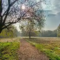 Picture for song 'The Country That I Knew' by artist 'Paul Killington'