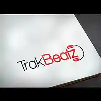 Picture for song 'FallBack ' by artist 'Production by TrakBeatz'