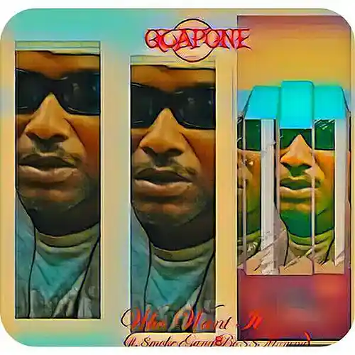 Picture for song 'Qcapone-NuffSaid-J Bro D' by artist 'Qcapone'