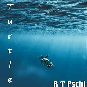 Picture for song 'Turtle' by artist 'R T Fschl'