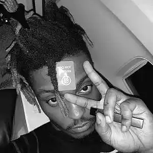 Picture for song 'Juice Wrld Type Beat: BREAKDOWN' by artist 'SON Beats'