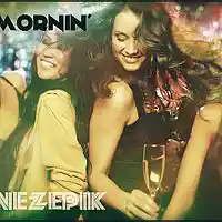 Picture for song 'TIL' MORNIN' ' by artist 'TONEzEp1K Pro'